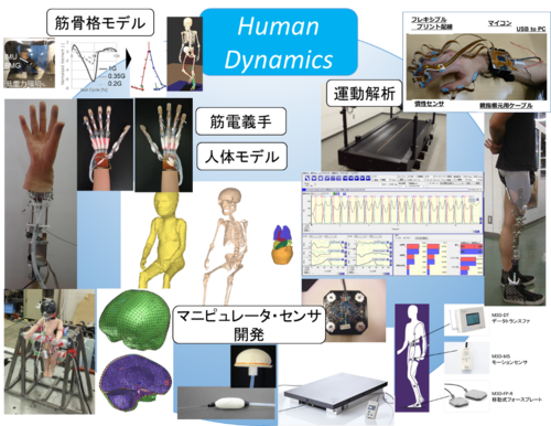 人体のモデル化，スポーツダイナミクス