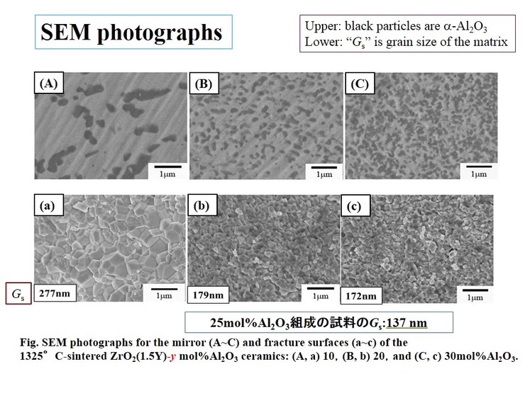 SEM photographs