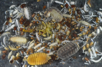 20250903-2.png (117837)