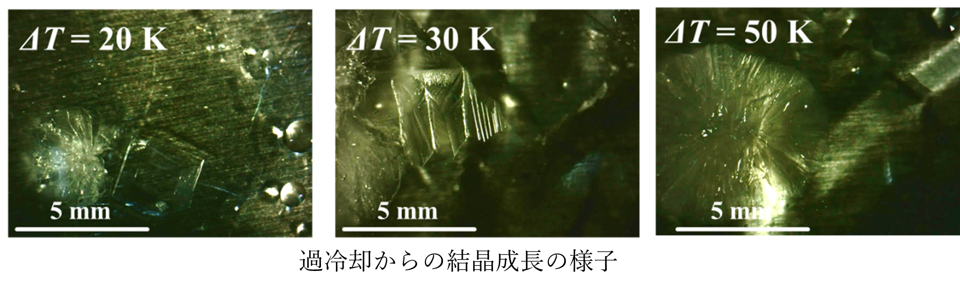 20250910-3.png (118134)