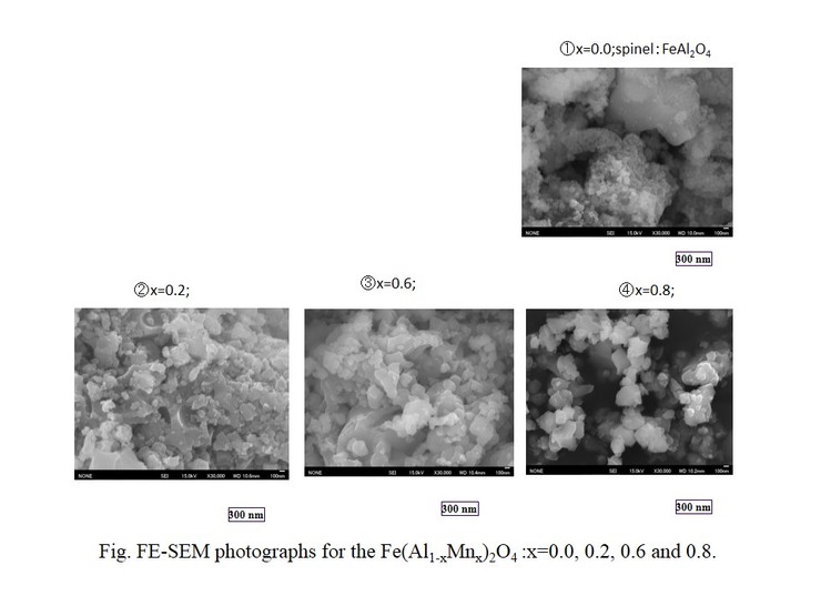 Fig. FE-SEM photographs for Fe(A11-xMnx)2O4 :x=0.0, 0.2, 0.6 and 0.8.